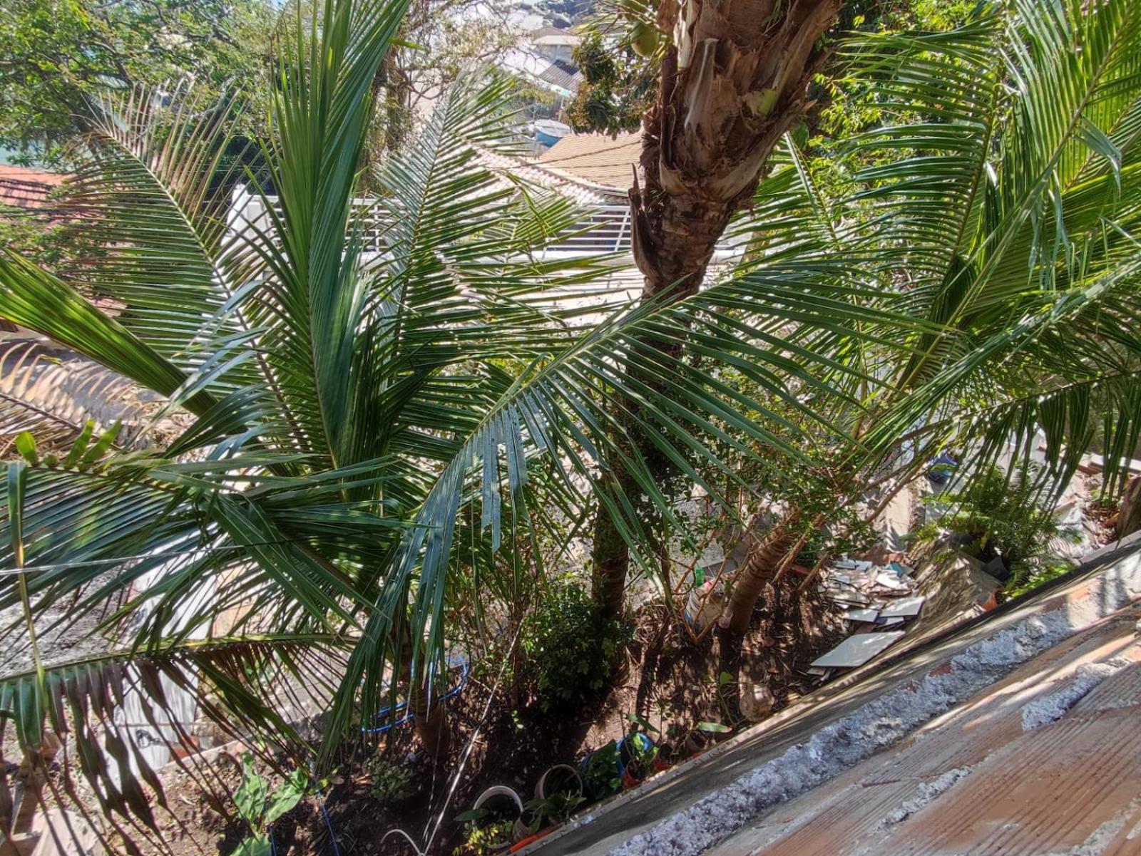 Vista Maravilhosa * Rio de Janeiro